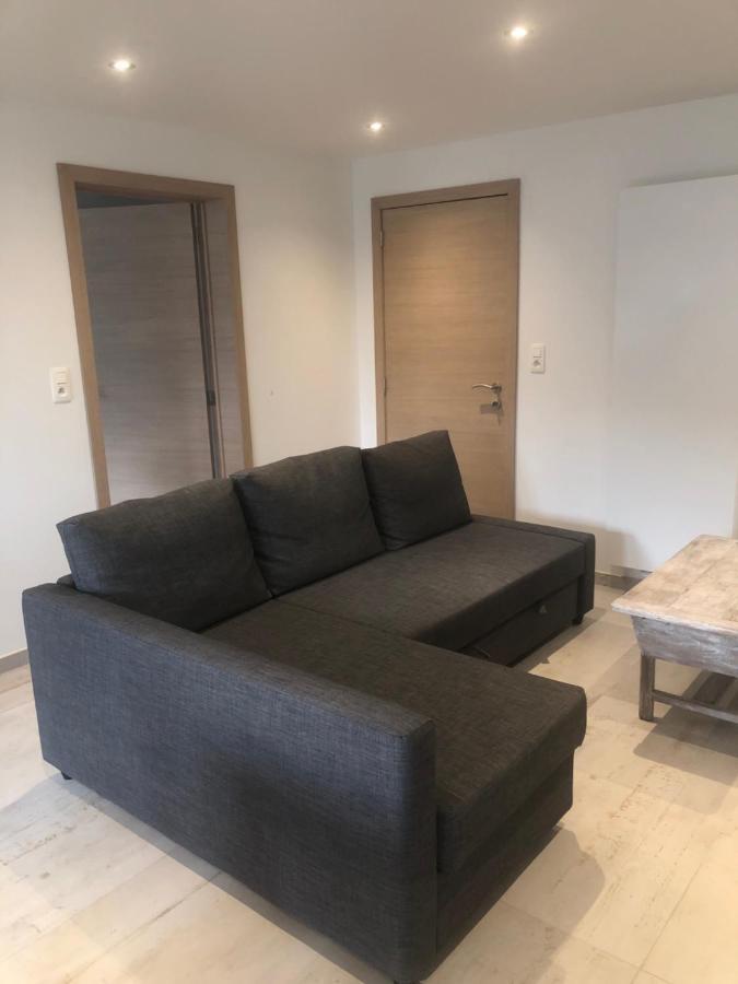 PEGASUS I - 2 chambres de luxe, cuisine, salon, terrasse et sauna Vielsalm Extérieur photo